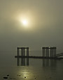 Shoreline : Seascapes 100-176-9