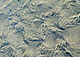 Shoreline : Water Ripples 100-101-7