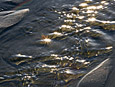 Shoreline : Water Ripples 100-122-2