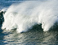 Shoreline : Waves 100-172-7
